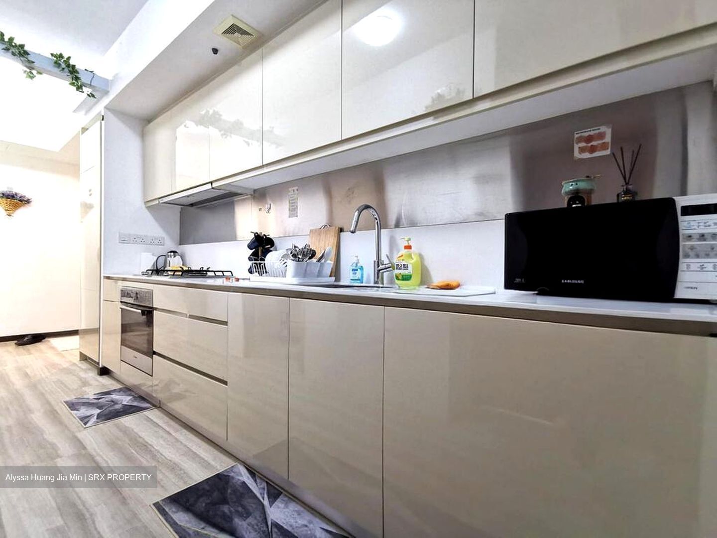 Sophia Residence (D9), Condominium #508069211